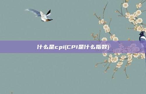 什么是cpi(CPI是什么指数)