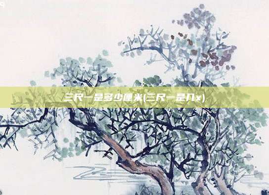 三尺一是多少厘米(三尺一是几x)