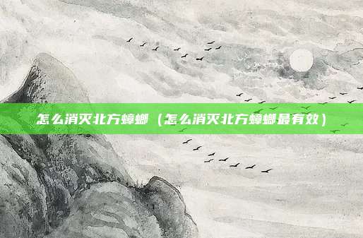 怎么消灭北方蟑螂（怎么消灭北方蟑螂最有效）