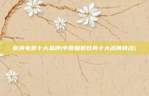 厨房电器十大品牌(中国烟机灶具十大名牌排名)