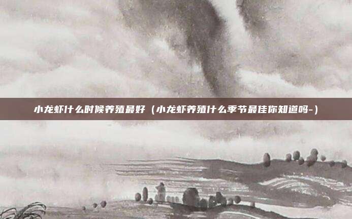 小龙虾什么时候养殖最好(小龙虾养殖什么季节最佳你知道吗-)