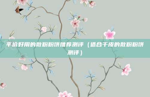 平价好用的散粉粉饼推荐测评（适合干皮的散粉粉饼测评）