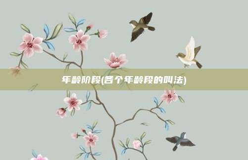 年龄阶段(各个年龄段的叫法)