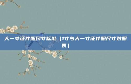 大一寸证件照尺寸标准（1寸与大一寸证件照尺寸对照表）