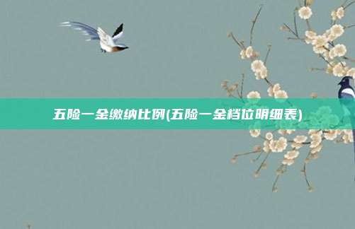 五险一金缴纳比例(五险一金档位明细表)