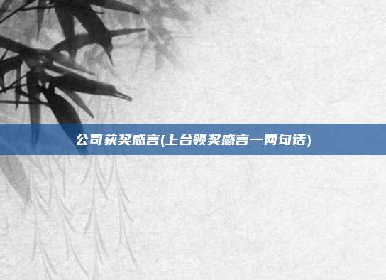 公司获奖感言(上台领奖感言一两句话)