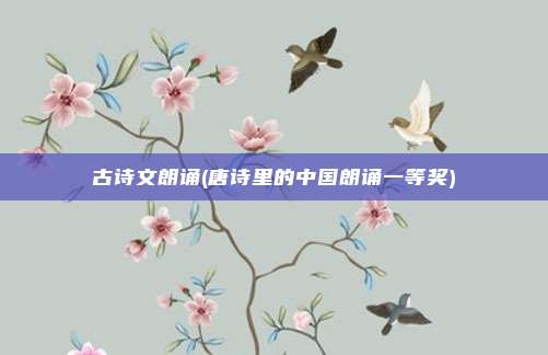 古诗文朗诵(唐诗里的中国朗诵一等奖)