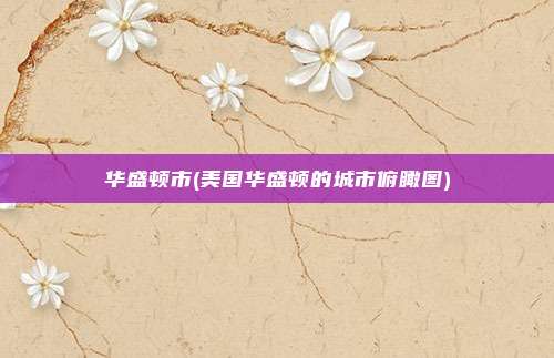 华盛顿市(美国华盛顿的城市俯瞰图)