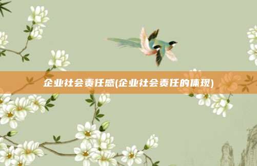 企业社会责任感(企业社会责任的体现)