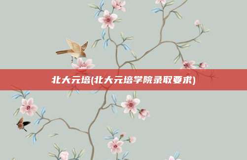 北大元培(北大元培学院录取要求)