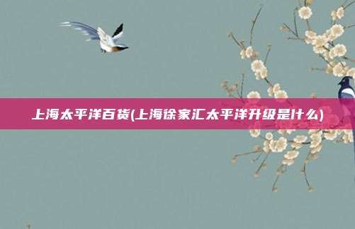 上海太平洋百货(上海徐家汇太平洋升级是什么)