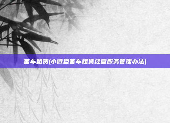客车租赁(小微型客车租赁经营服务管理办法)