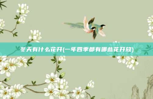冬天有什么花开(一年四季都有哪些花开放)