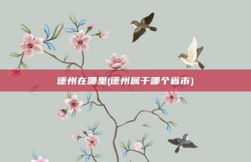德州在哪里(德州属于哪个省市)