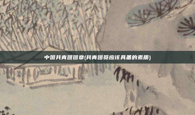 中国共青团团章(共青团员应该具备的素质)