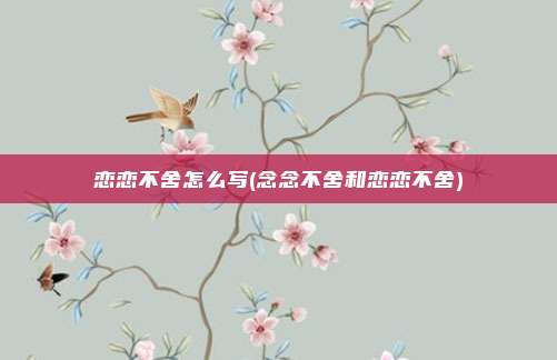 恋恋不舍怎么写(念念不舍和恋恋不舍)