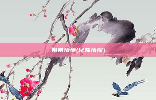 姐弟情缘(兄妹情深)
