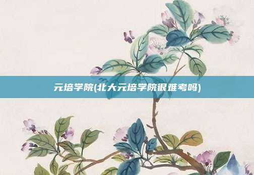 元培学院(北大元培学院很难考吗)