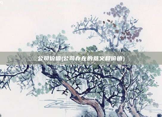 公司价值(公司存在的意义和价值)