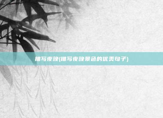 描写夜晚(描写夜晚景色的优美句子)