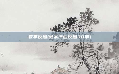 教学反思(教案课后反思30字)