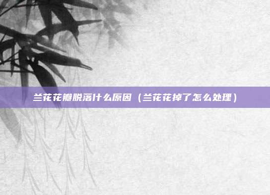 兰花花瓣脱落什么原因（兰花花掉了怎么处理）