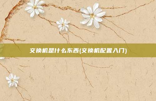 交换机是什么东西(交换机配置入门)