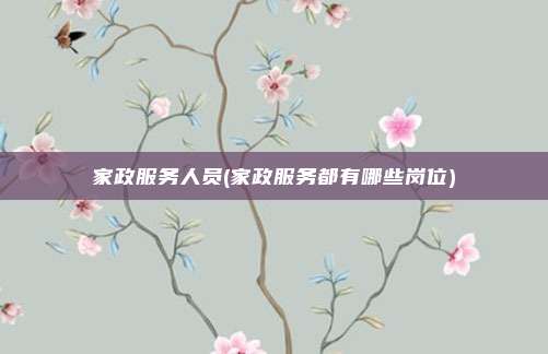 家政服务人员(家政服务都有哪些岗位)