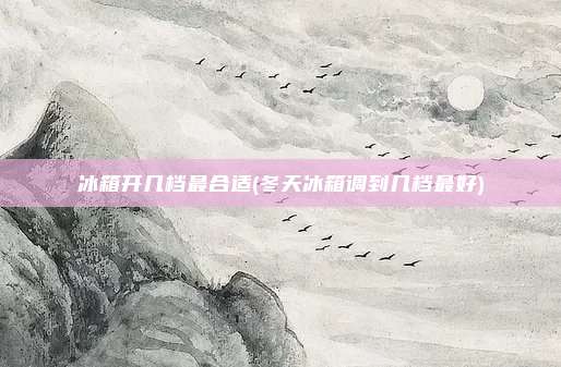 冰箱开几档最合适(冬天冰箱调到几档最好)