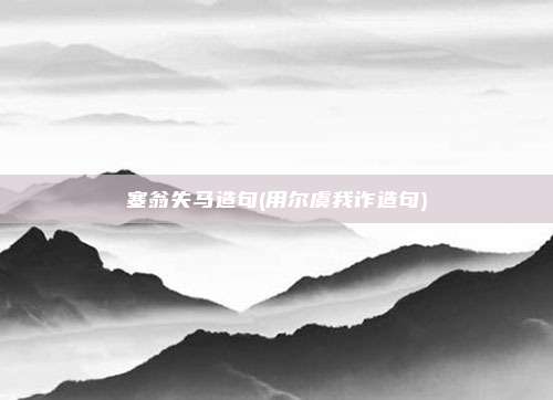 塞翁失马造句(用尔虞我诈造句)