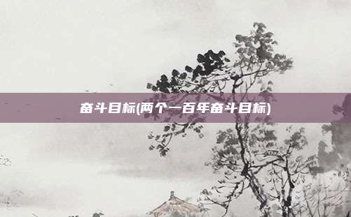 奋斗目标(两个一百年奋斗目标)