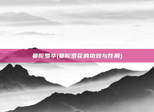 曼陀罗华(曼陀罗花的功效与作用)