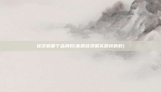 挂烫机哪个品牌好(家用挂烫机买啥样的好)