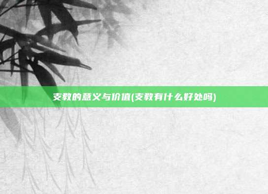 支教的意义与价值(支教有什么好处吗)