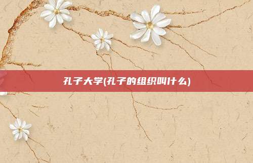 孔子大学(孔子的组织叫什么)