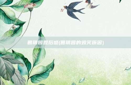 圆明园观后感(圆明园的毁灭原因)