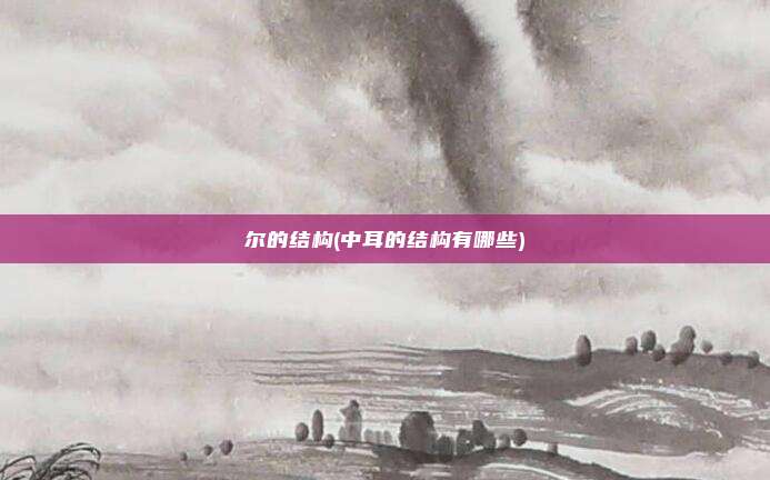 尔的结构(中耳的结构有哪些)
