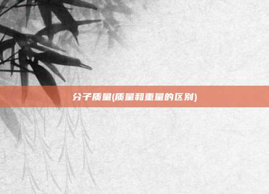 分子质量(质量和重量的区别)