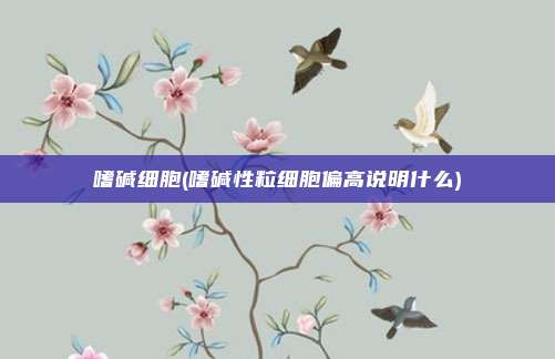 嗜碱细胞(嗜碱性粒细胞偏高说明什么)