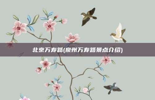 北京万寿路(泉州万寿路景点介绍)