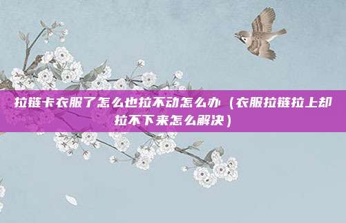 拉链卡衣服了怎么也拉不动怎么办（衣服拉链拉上却拉不下来怎么解决）