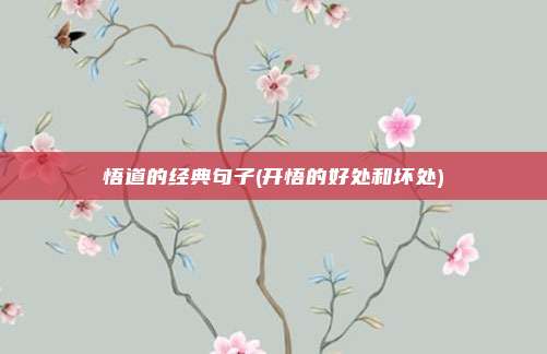 悟道的经典句子(开悟的好处和坏处)