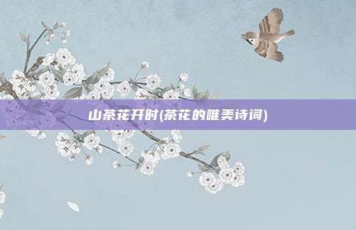 山茶花开时(茶花的唯美诗词)