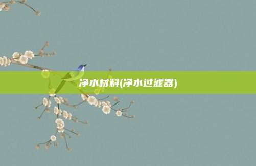 净水材料(净水过滤器)