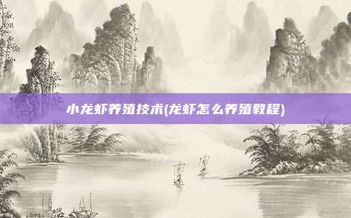 小龙虾养殖技术(龙虾怎么养殖教程)
