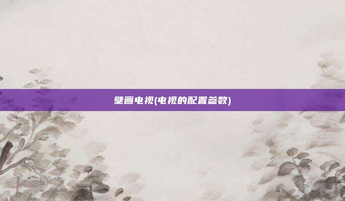 壁画电视(电视的配置参数)