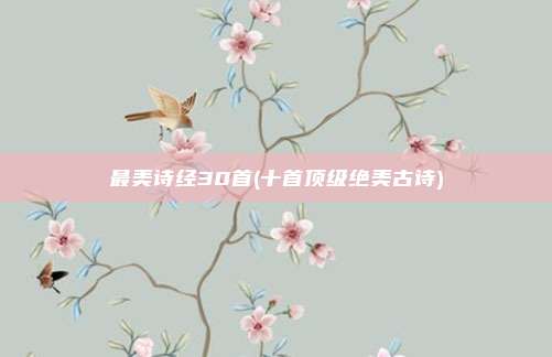 最美诗经30首(十首顶级绝美古诗)