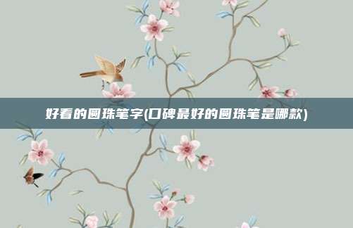 好看的圆珠笔字(口碑最好的圆珠笔是哪款)