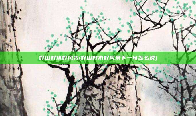 好山好水好风光(好山好水好风景下一句怎么说)