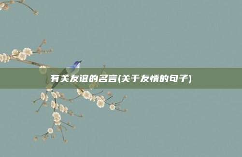 有关友谊的名言(关于友情的句子)